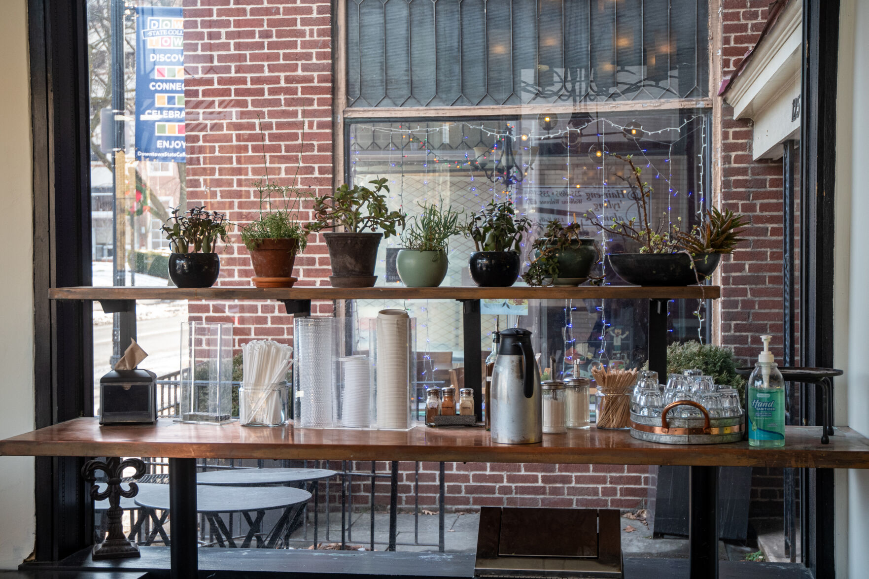 Plants decorate inside Elixr Coffee Roasters